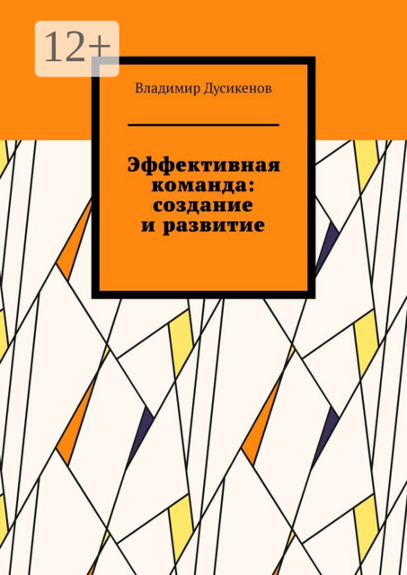 Эффективная команда: создание и развитие, Владимир Дусикенов