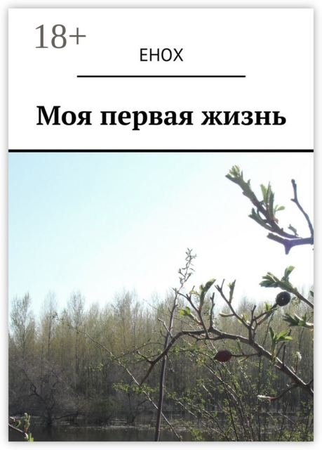 Моя первая жизнь