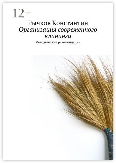 Организация современного клининга. Методические рекомендации, Рычков Константин
