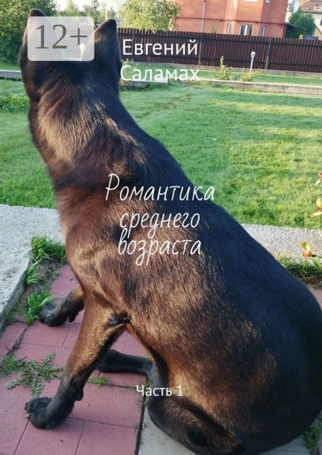 Романтика среднего возраста. Часть 1, Евгений Саламах