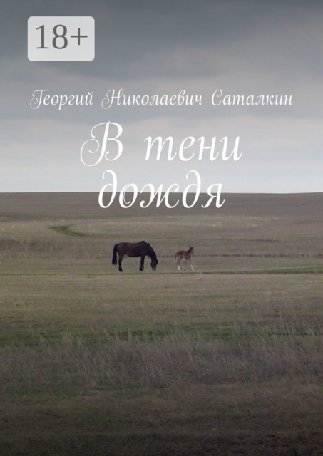 В тени дождя, Георгий Саталкин