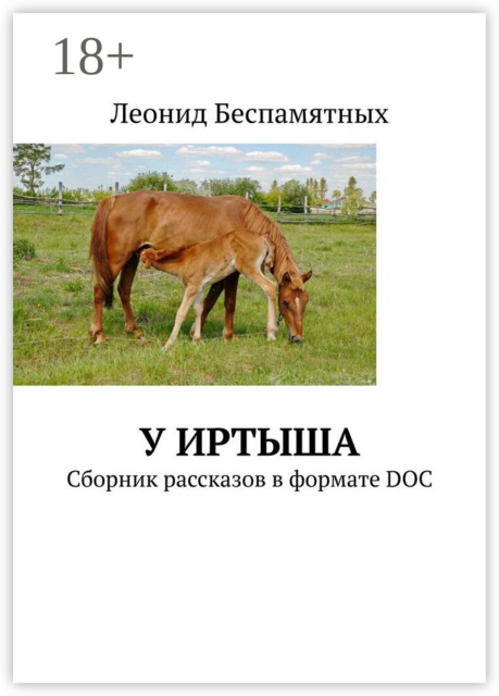 У Иртыша