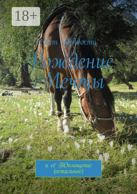 Рождение мечты. И её воплощение (остальное)