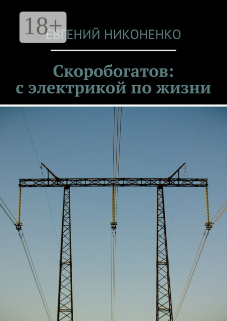 Скоробогатов: с электрикой по жизни