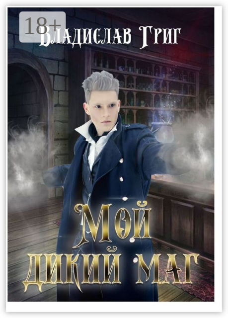Мой дикий маг