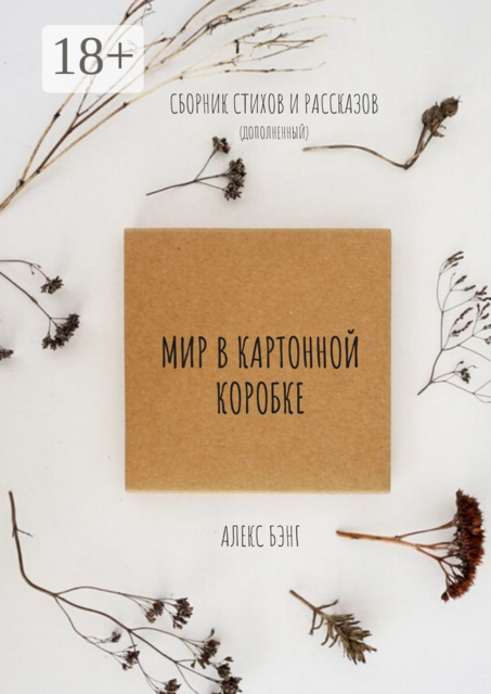 Мир в картонной коробке. Cборник стихов и рассказов (дополненный), Алекс Бэнг
