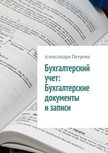 Бухгалтерский учет: Бухгалтерские документы и записи, Александра Петрова