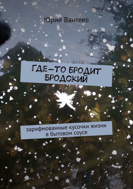 Где-то бродит Бродский. Зарифмованные кусочки жизни в бытовом соусе, Юрий Вантеев