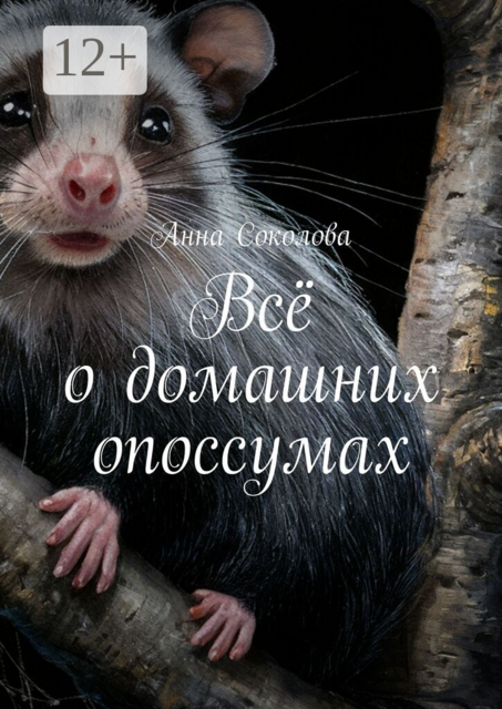 Всё о домашних опоссумах