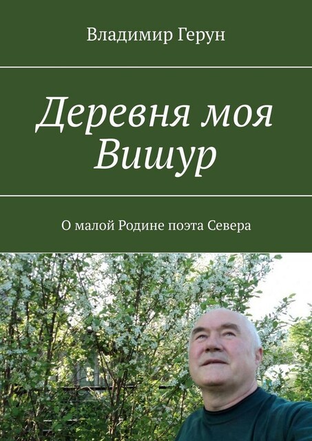 Деревня моя Вишур. О малой Родине поэта Севера