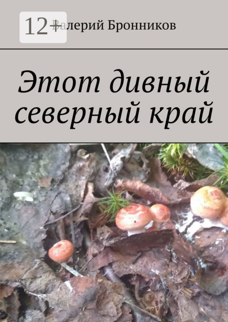 Этот дивный северный край, Валерий Бронников