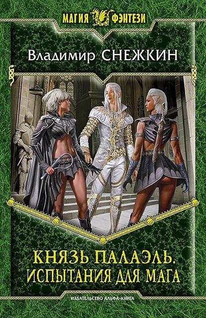 Князь Палаэль. Книга 2. Испытание для мага