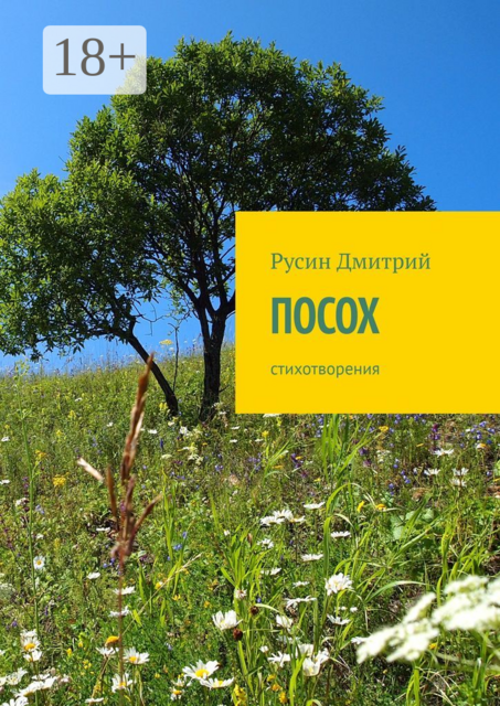 Посох. Стихотворения, Дмитрий Русин