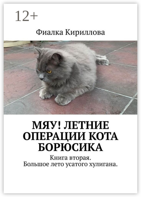 Мяу! Летние операции кота Борюсика. Книга вторая. Большое лето усатого хулигана.