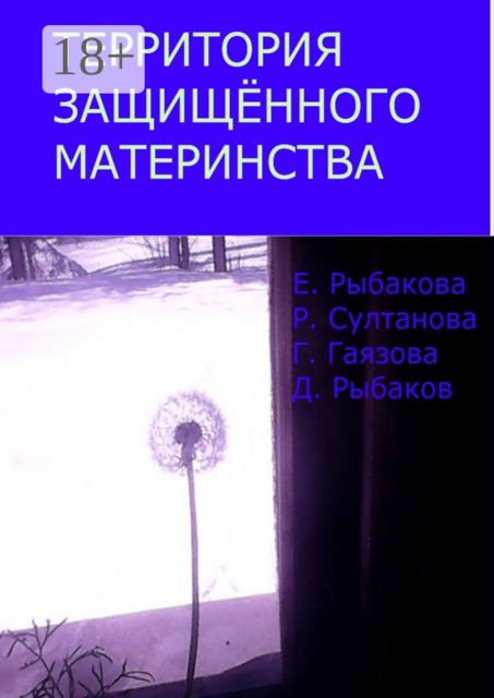 Территория защищённого материнства, Елена Рыбакова, Дмитрий Рыбаков, Гульшат Гаязова, Роза Султанова