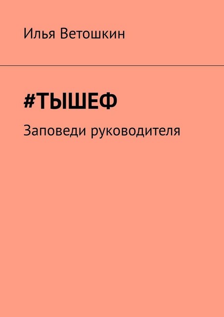 Тышеф. Заповеди руководителя, Илья Ветошкин