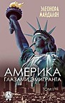 Америка глазами эмигранта