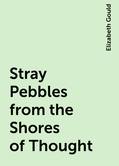 Stray Pebbles from the Shores of Thought