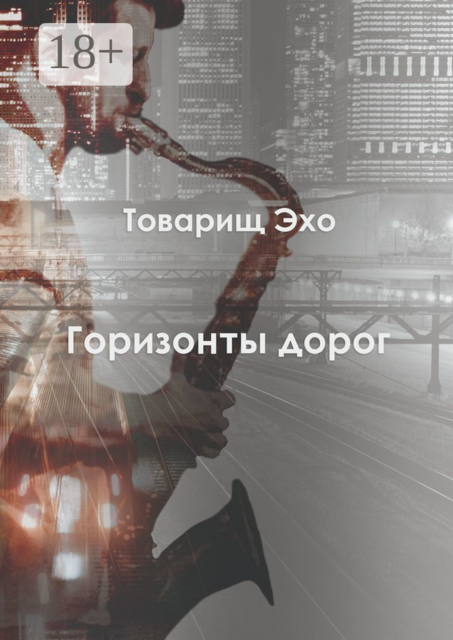 Горизонты дорог, Товарищ Эхо