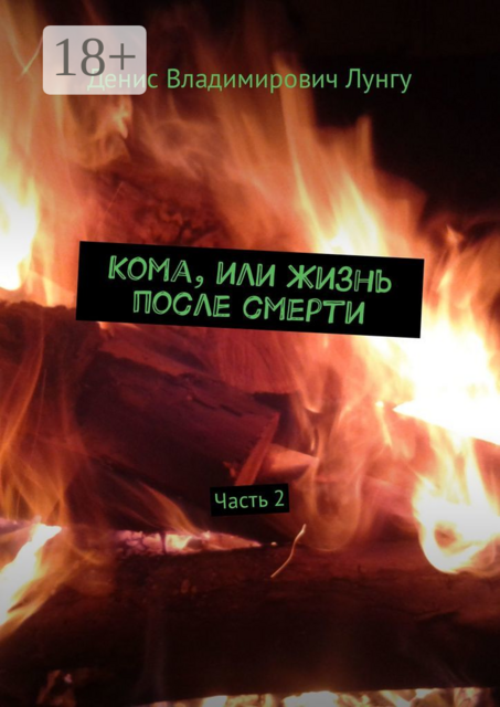 Кома, или Жизнь после смерти. Часть 2, Денис Лунгу
