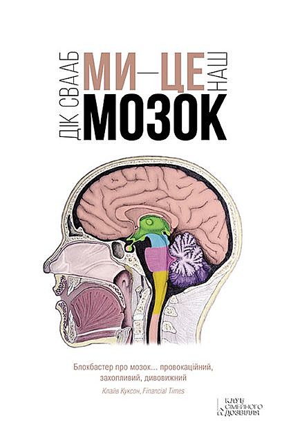 Ми – це наш мозок