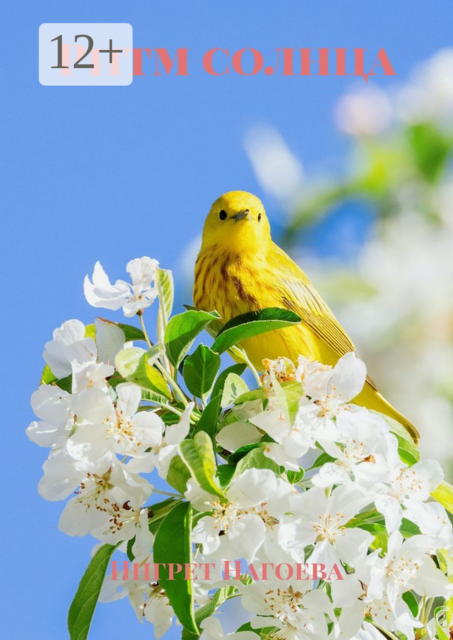 Ритм солнца