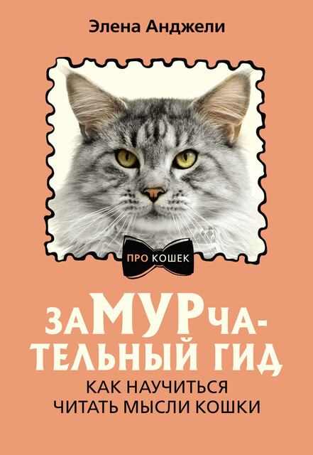 ЗаМУРчательный гид. Как научиться читать мысли кошки