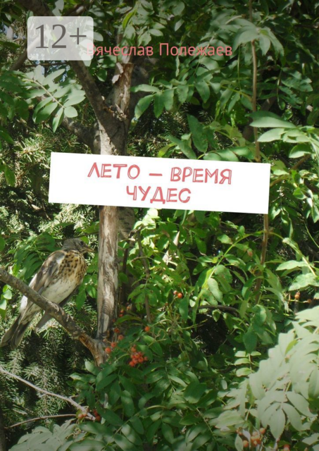 Лето — время чудес