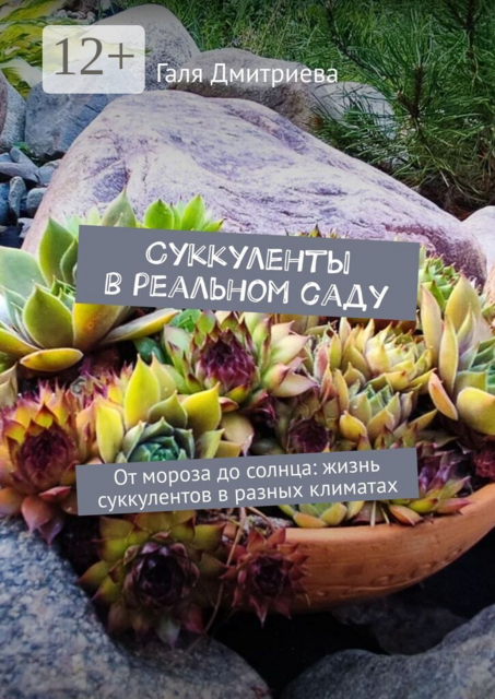 Суккуленты в реальном саду. От мороза до солнца: жизнь суккулентов в разных климатах