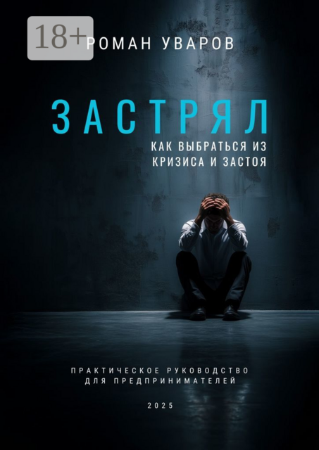 Застрял. Как выбраться из кризиса и застоя. Практическое руководство для предпринимателей