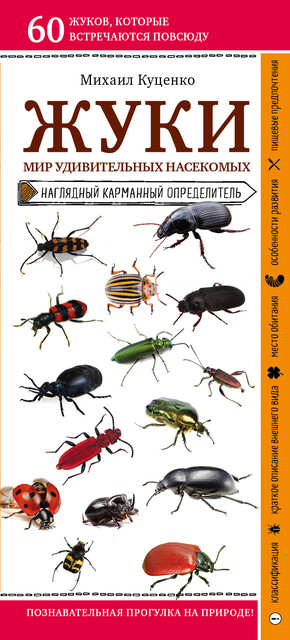 Жуки. Мир удивительных насекомых, Михаил Куценко