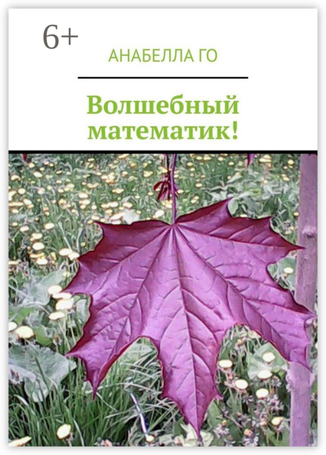 Волшебный математик