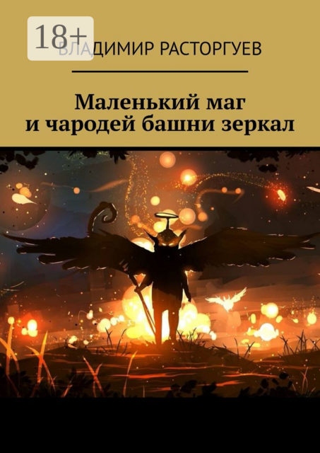 Маленький маг и чародей башни зеркал, Владимир Расторгуев