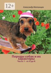 Породы собак и их характеры