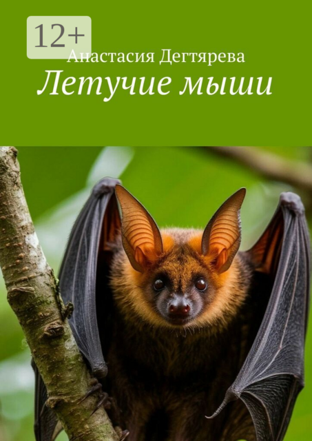 Летучие мыши