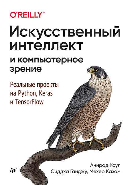 Искусственный интеллект и компьютерное зрение. Реальные проекты на Python, Keras и TensorFlow, Сиддха Ганджу, Анирад Коул, Мехер Казам