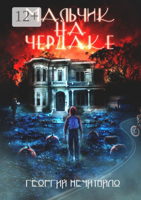 Мальчик на чердаке. Хорошая история рождается там, где в неё верят