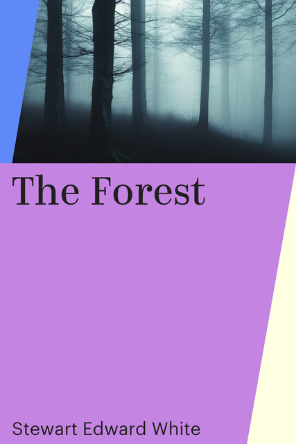 The Forest