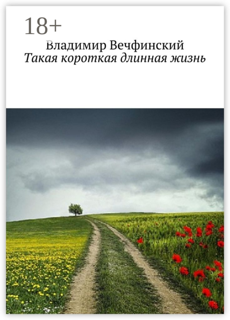 Такая короткая длинная жизнь, Вечфинский Владимир