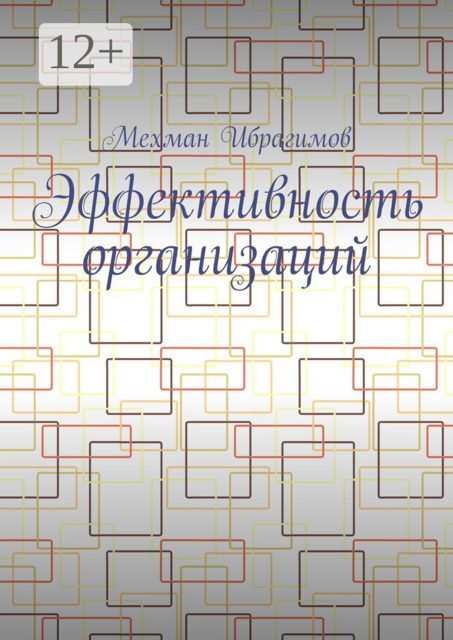 Эффективность организаций, Мехман Ибрагимов
