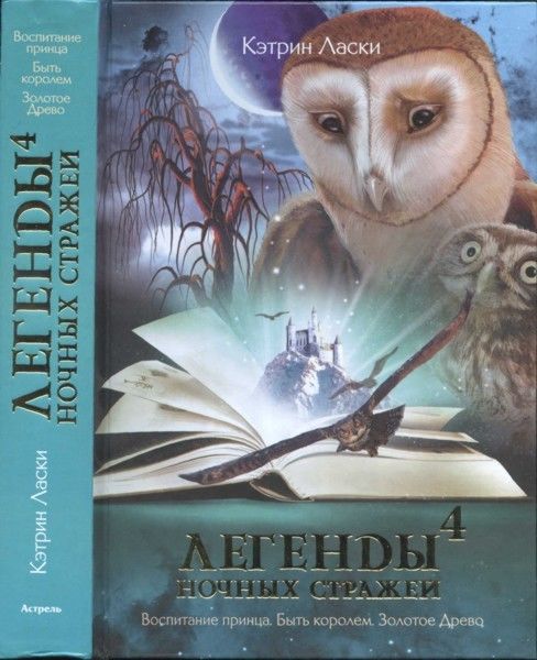 Ночные стражи. Книга 11. Быть королем