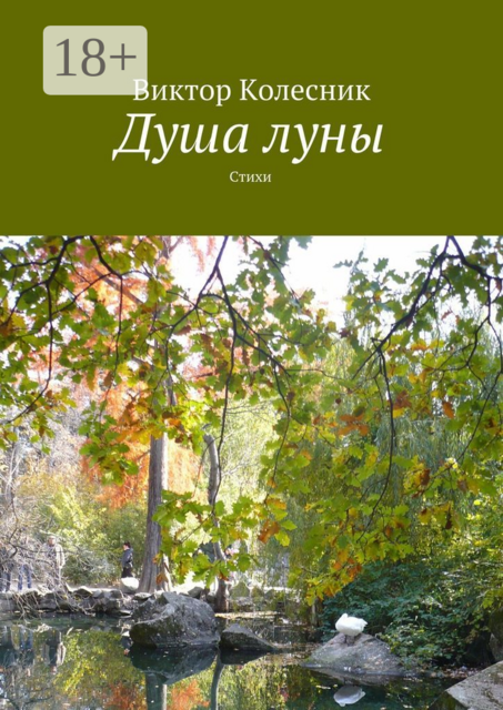 Душа луны, Виктор Колесник