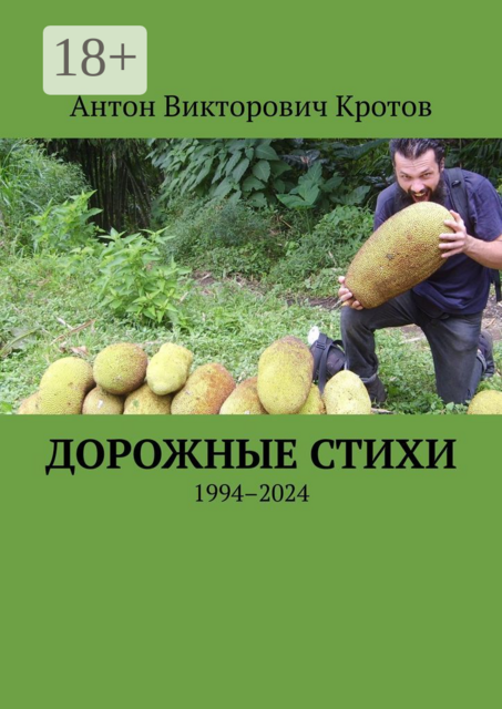 Дорожные стихи. 1994–2024