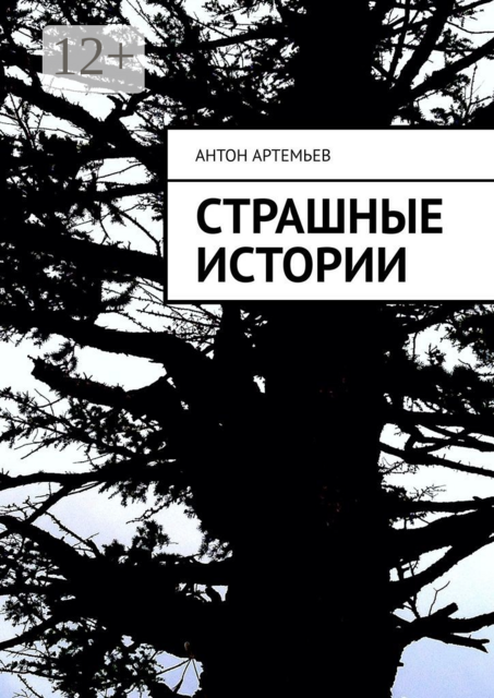 Страшные истории, Антон Артемьев