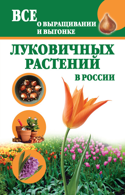 Все о выращивании и выгонке луковичных растений в России, Татьяна Литвинова