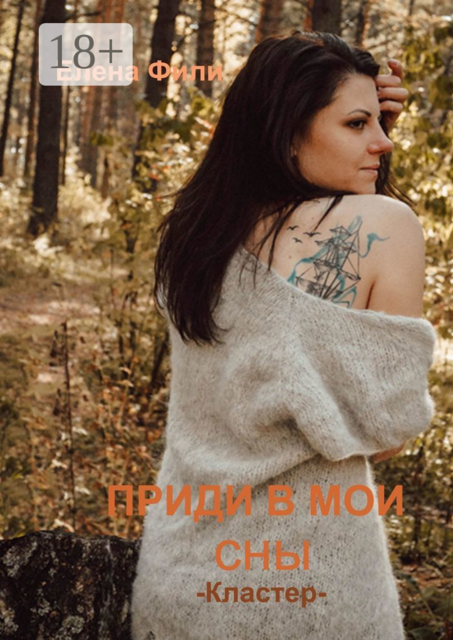 Приди в мои сны. Кластер