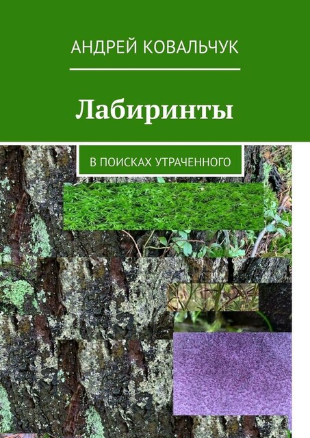 Лабиринты. В поисках утраченного, Андрей Ковальчук