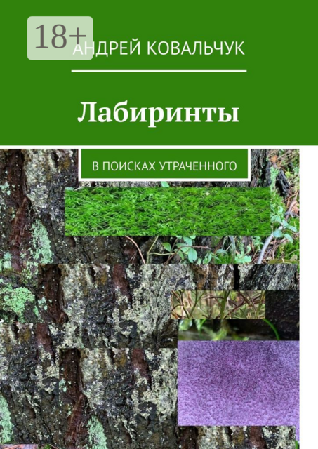 Лабиринты. В поисках утраченного, Андрей Ковальчук