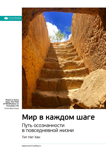 Мир в каждом шаге. Путь осознанности в повседневной жизни. Тит Нат Хан. Саммари