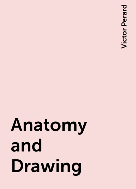 Anatomy and Drawing